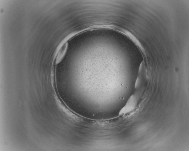 X0000072960955200608041149