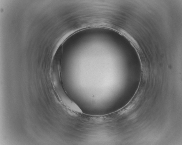 X0000072960956200608041149