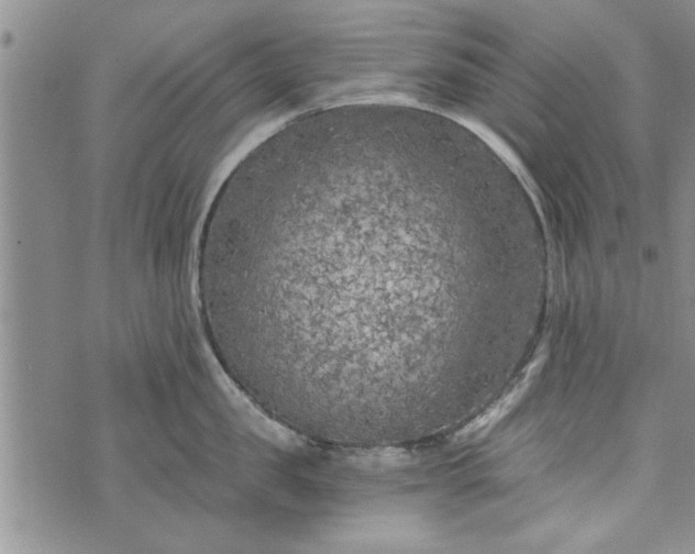 X0000072960957200608041149