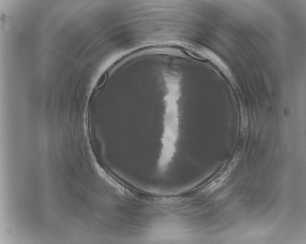 X0000072960958200608041149