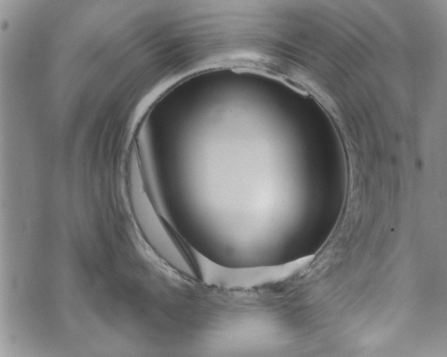 X0000072960960200608041149