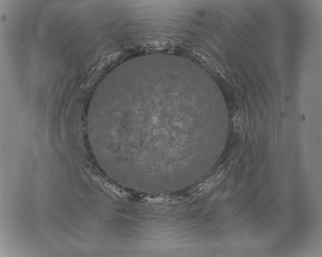 X0000072960961200608041149