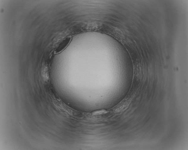 X0000072960962200608041149