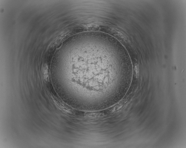 X0000072960963200608041149