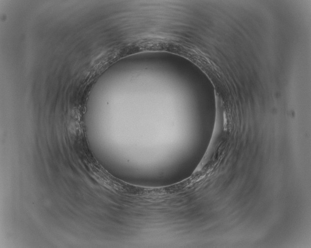 X0000072960964200608041149