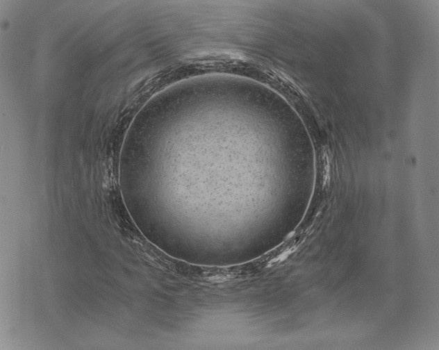 X0000072960965200608041149