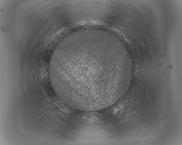 X0000072960966200608041149