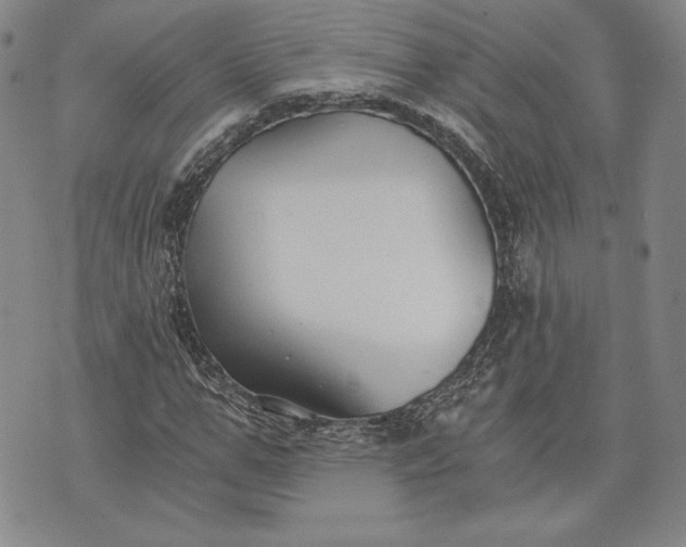 X0000072960967200608041149