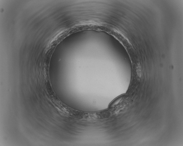 X0000072960968200608041149