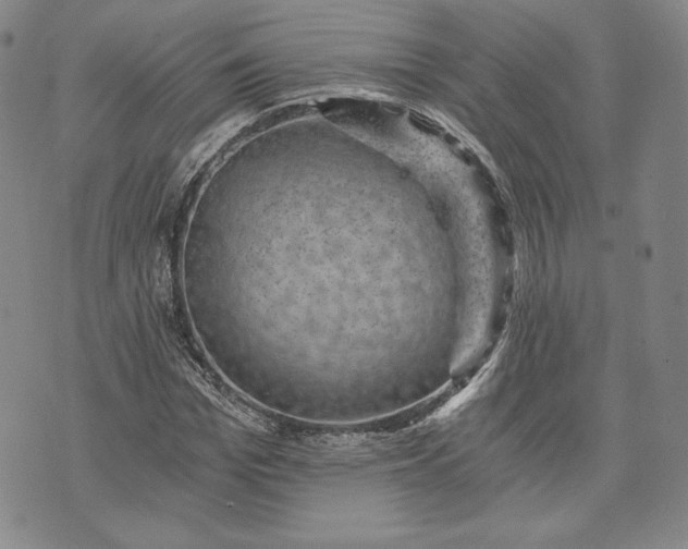 X0000072960969200608041149