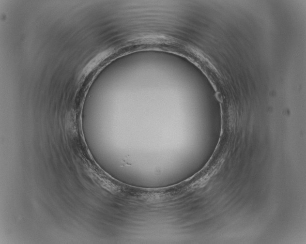 X0000072960970200608041148