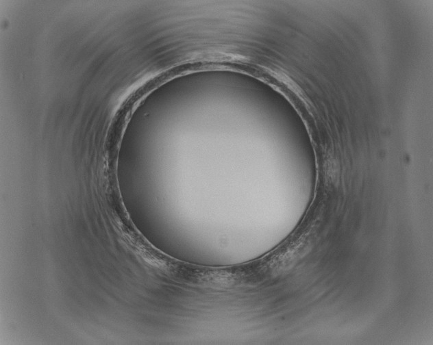 X0000072960971200608041148