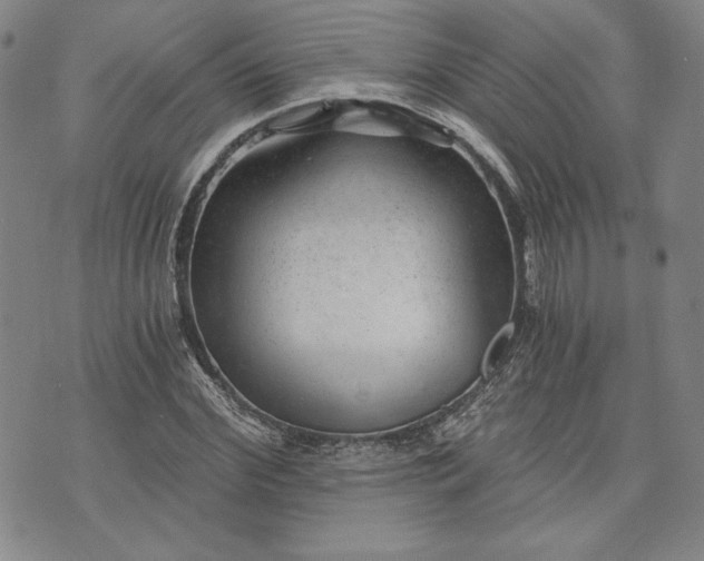 X0000072960972200608041148