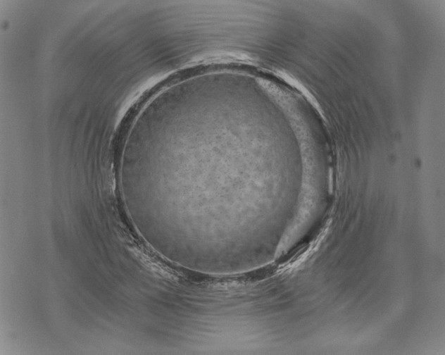 X0000072960973200608041148