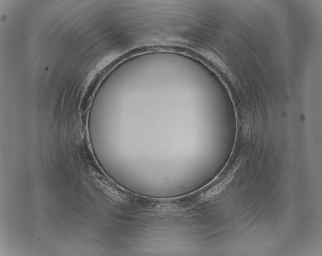 X0000072960974200608041148