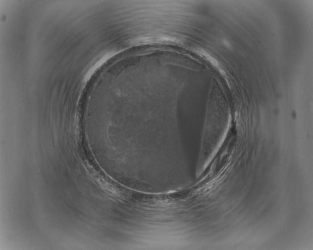 X0000072960975200608041148