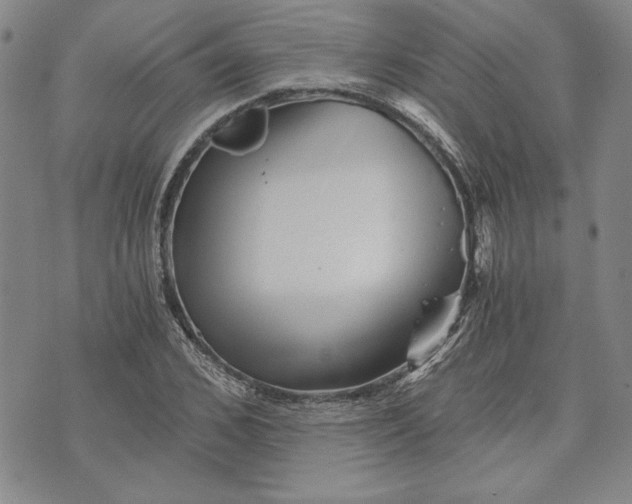 X0000072960976200608041148