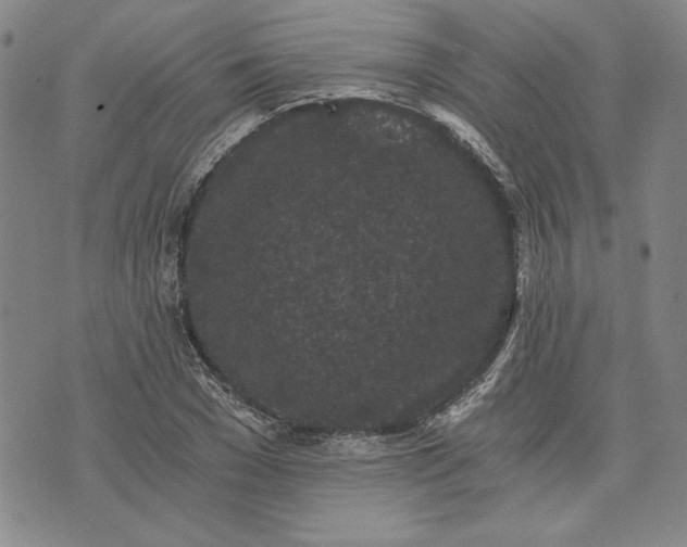 X0000072960977200608041148