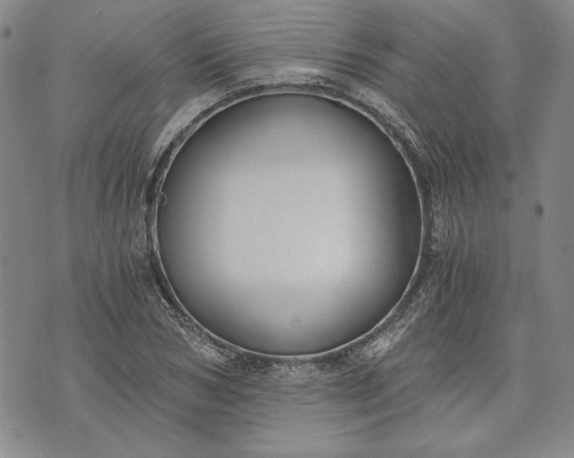 X0000072960978200608041148