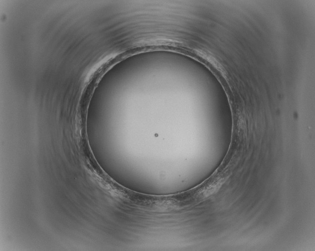 X0000072960979200608041148