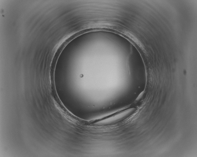 X0000072960980200608041148