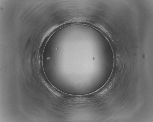 X0000072960981200608041148