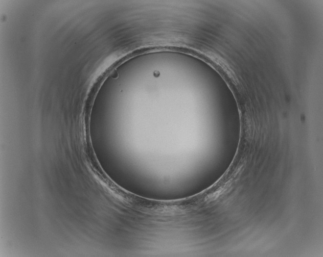 X0000072960982200608041148