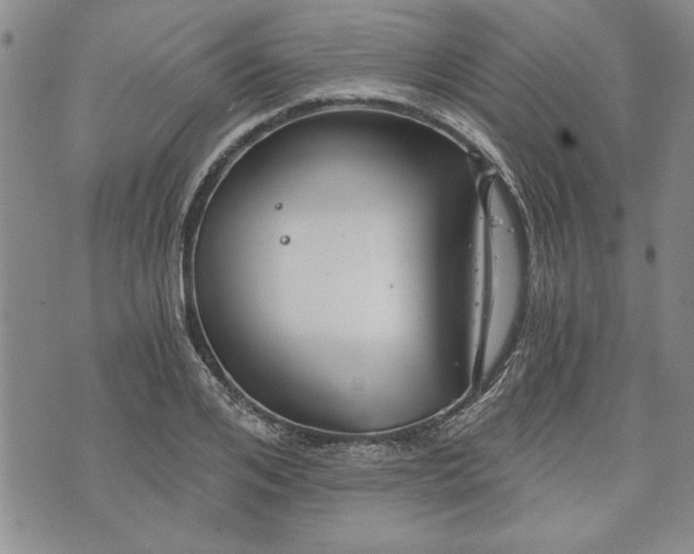 X0000072960984200608041148