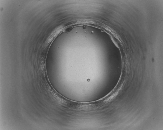 X0000072960985200608041148