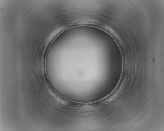 X0000072960986200608041148