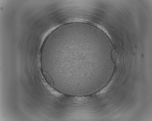 X0000072960987200608041148