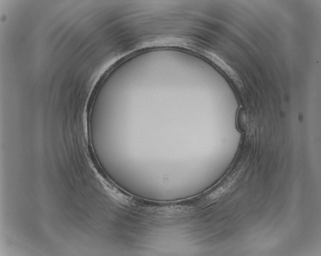 X0000072960988200608041148