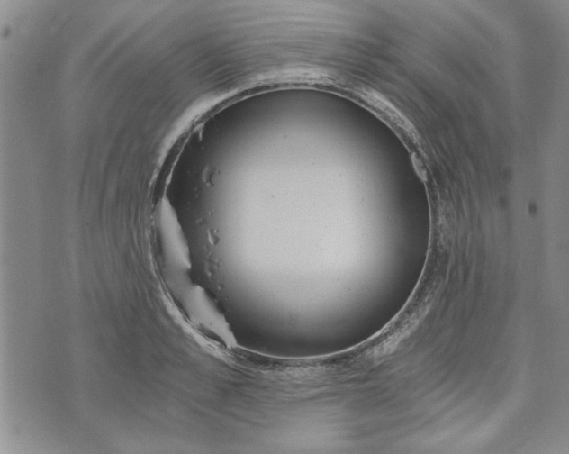 X0000072960989200608041148