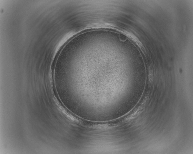 X0000072960990200608041148