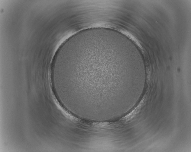 X0000072960991200608041148