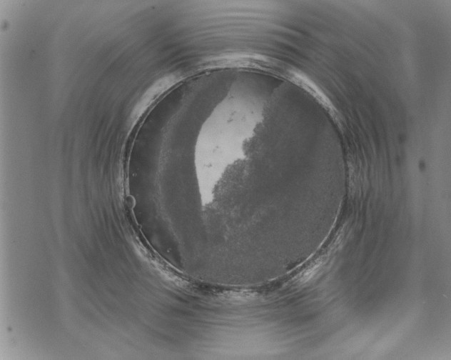 X0000072960994200608041148