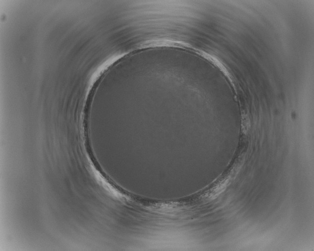 X0000072960995200608041148