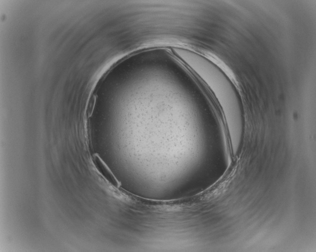 X0000072960996200608041148