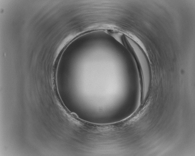 X0000072960997200608041148