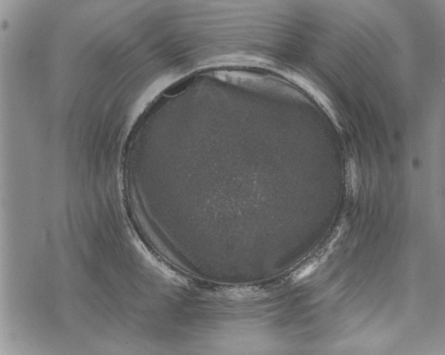 X0000072960998200608041148