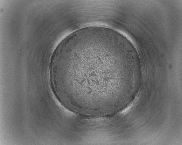 X0000072960999200608041148