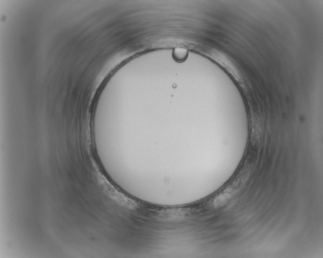 X0000072961000200608041148