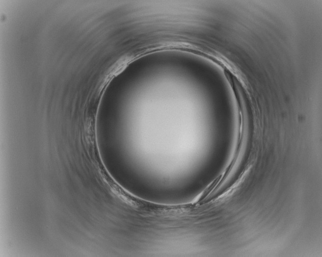 X0000072961001200608041148