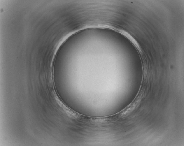 X0000072961004200608041148