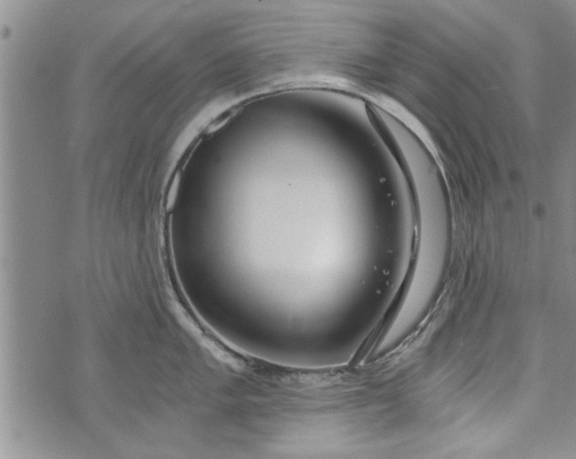 X0000072961005200608041148