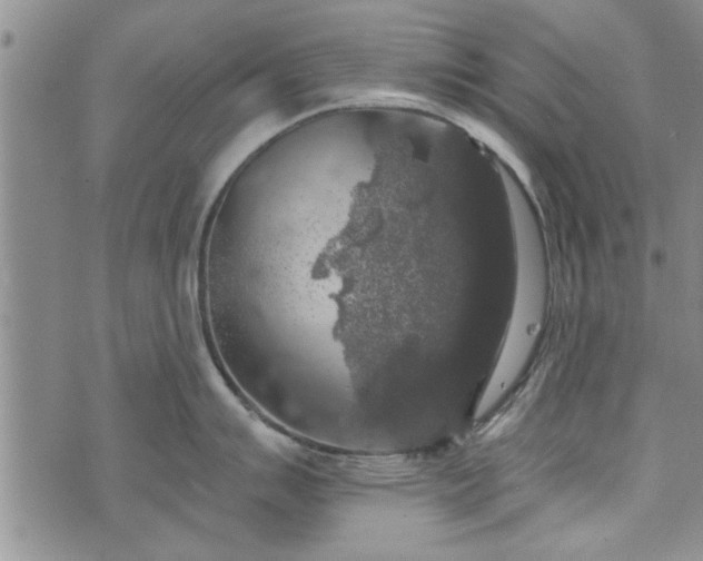 X0000072961007200608041148