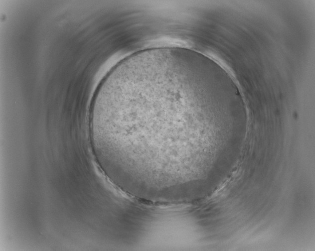 X0000072961008200608041148