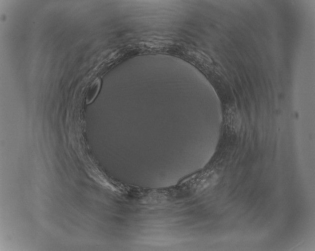 X0000072961009200608041147