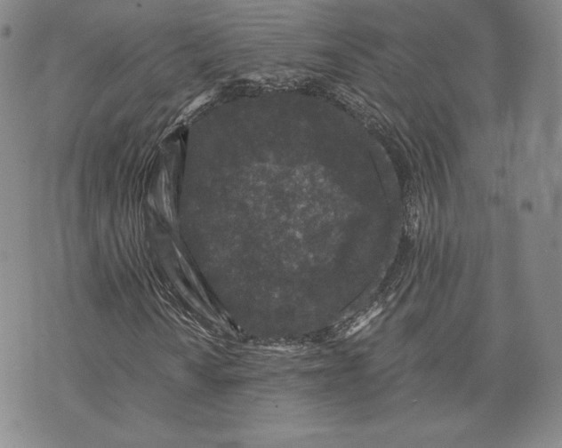 X0000072961010200608041147