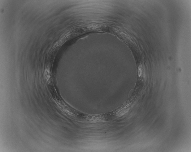 X0000072961011200608041147